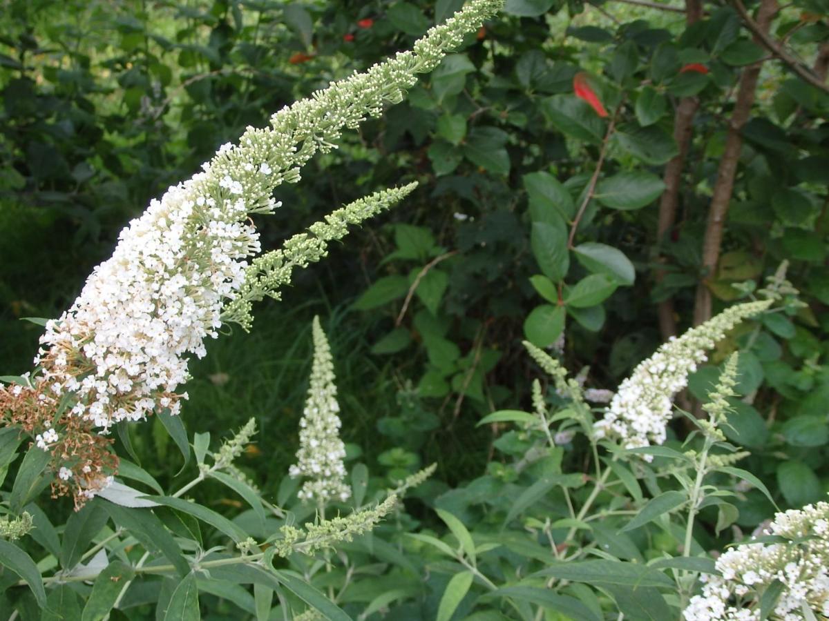 Krakowskie Mazury Gradzkie  Ngoại thất bức ảnh