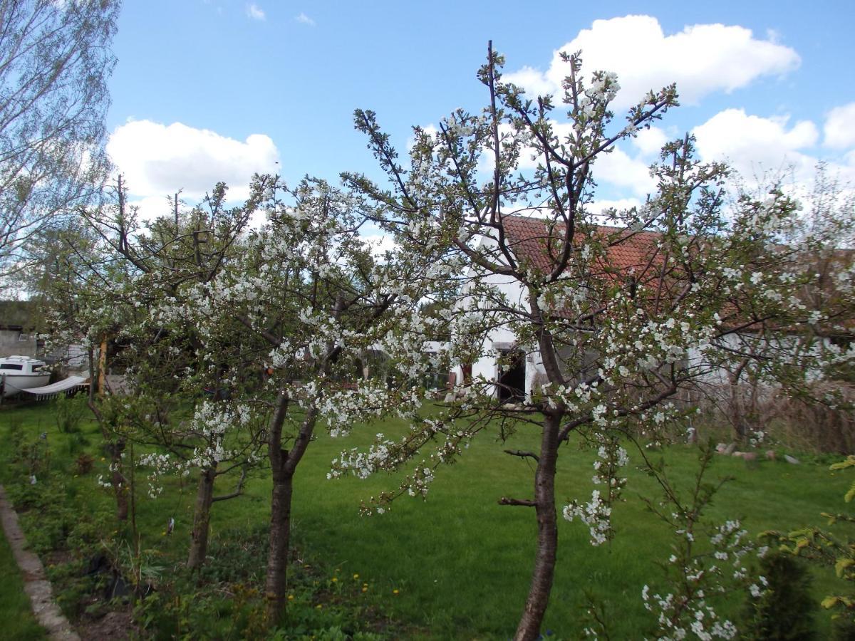 Krakowskie Mazury Gradzkie  Ngoại thất bức ảnh