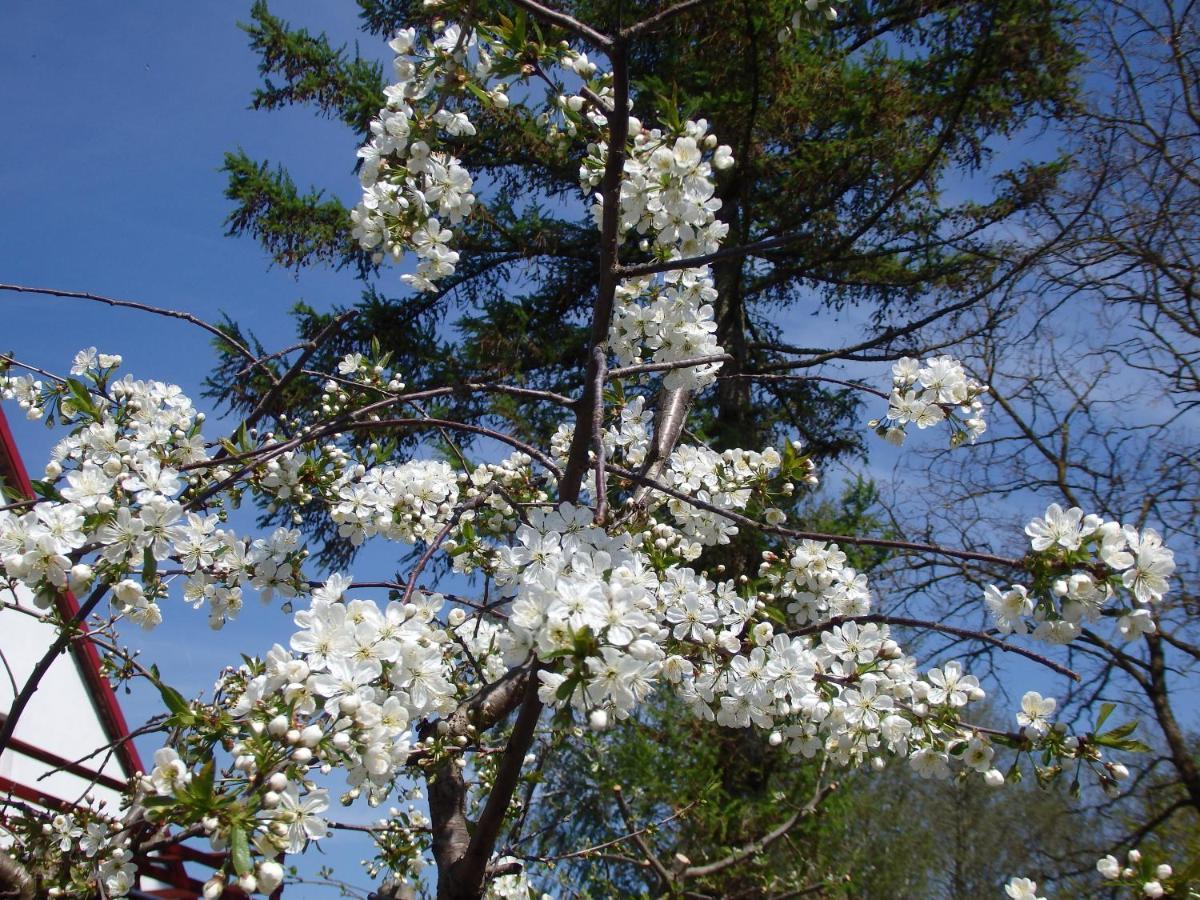 Krakowskie Mazury Gradzkie  Ngoại thất bức ảnh