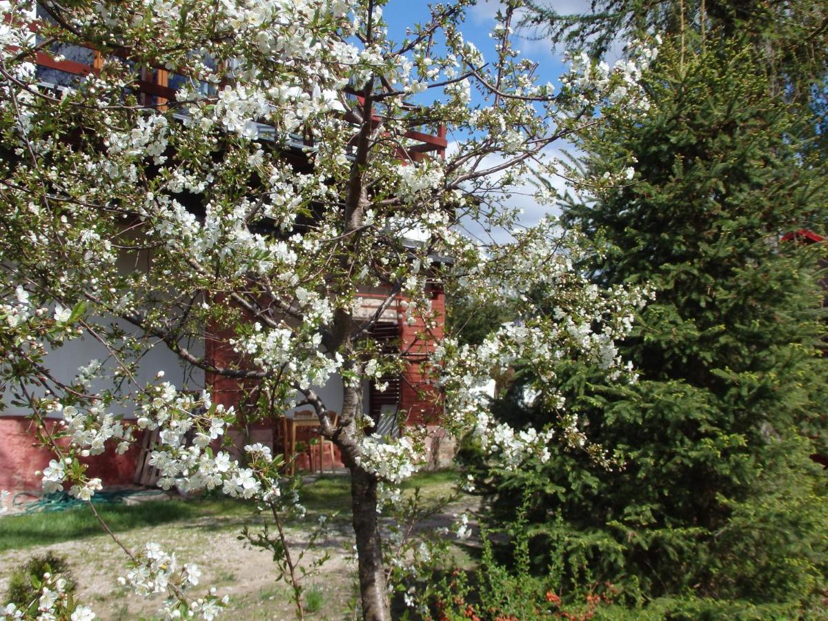 Krakowskie Mazury Gradzkie  Ngoại thất bức ảnh